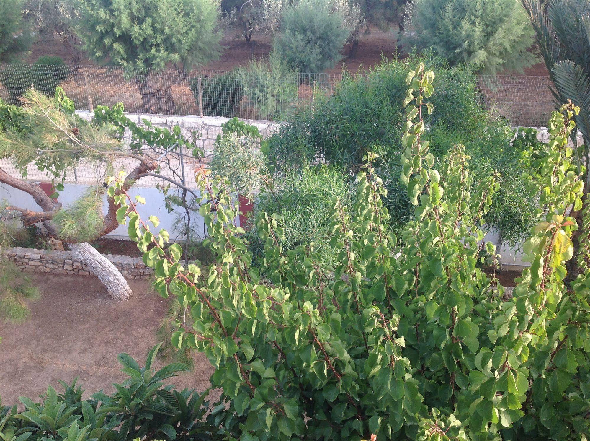 Hotel Petras Beach Sitia  Bagian luar foto